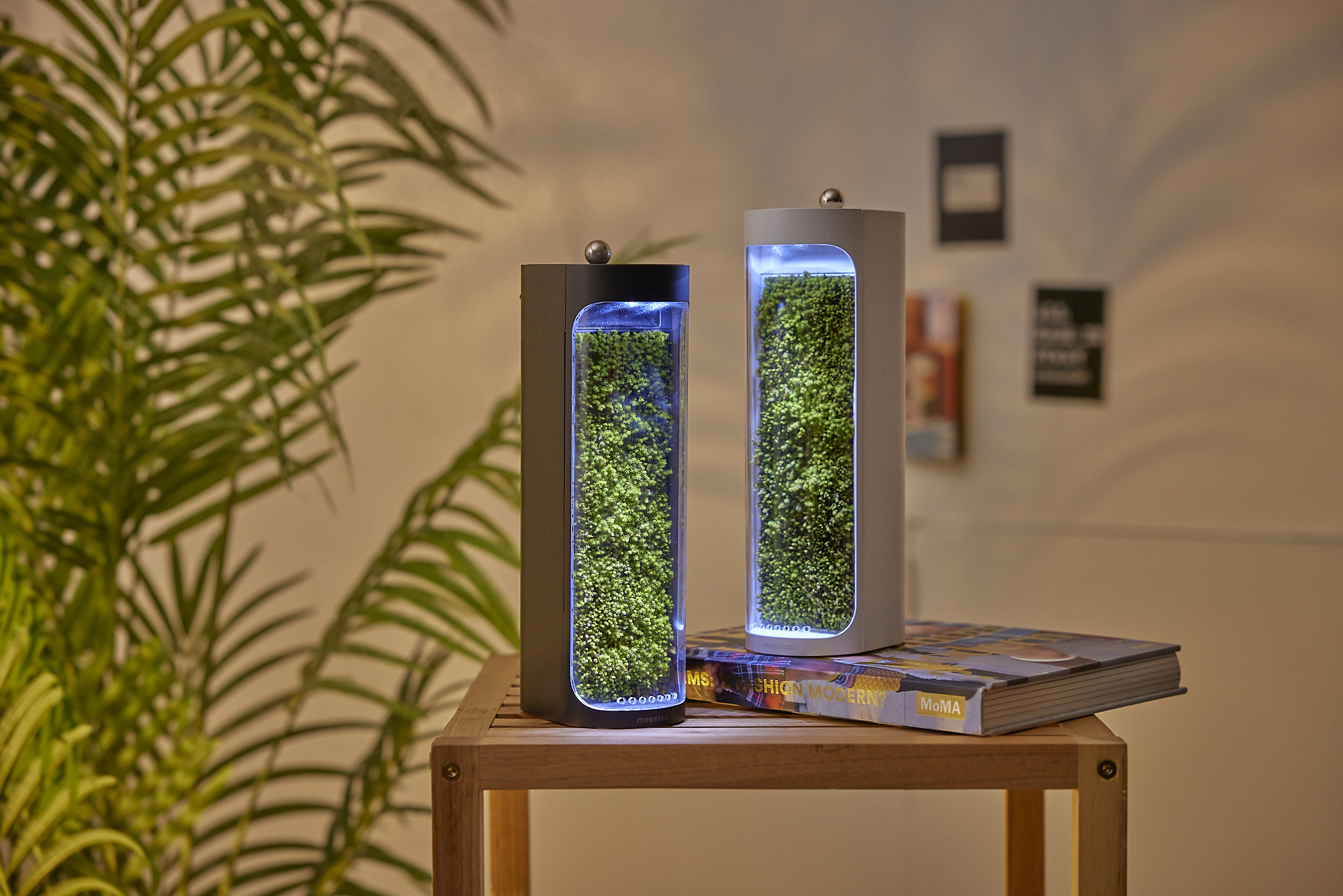 Desktop moss air purifier humidifier with living moss panel and soft ambient light